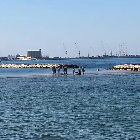 民宿 1800
